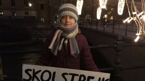 Greta Thunberg şi-a petrecut ziua de naştere protestând în faţa Parlamentului din Stockholm