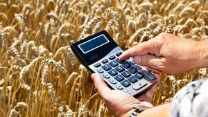 Cât se câștigă în agricultura românească / Director DAJ Maramureș: „Marea problemă este lipsa forței de muncă” / Zilierii și fluctuația personalului ridică, de asemenea, probleme