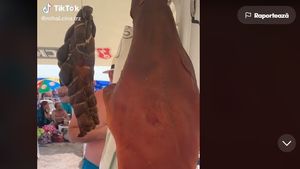 VIDEO Un turist și-a adus pe plajă la Costinești câteva hălci de carne afumată și le-a atârnat de umbrelă