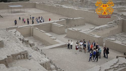 O sculptură rară, care reprezintă broaşte şi are o vechime de 3.800 de ani, descoperită în Peru