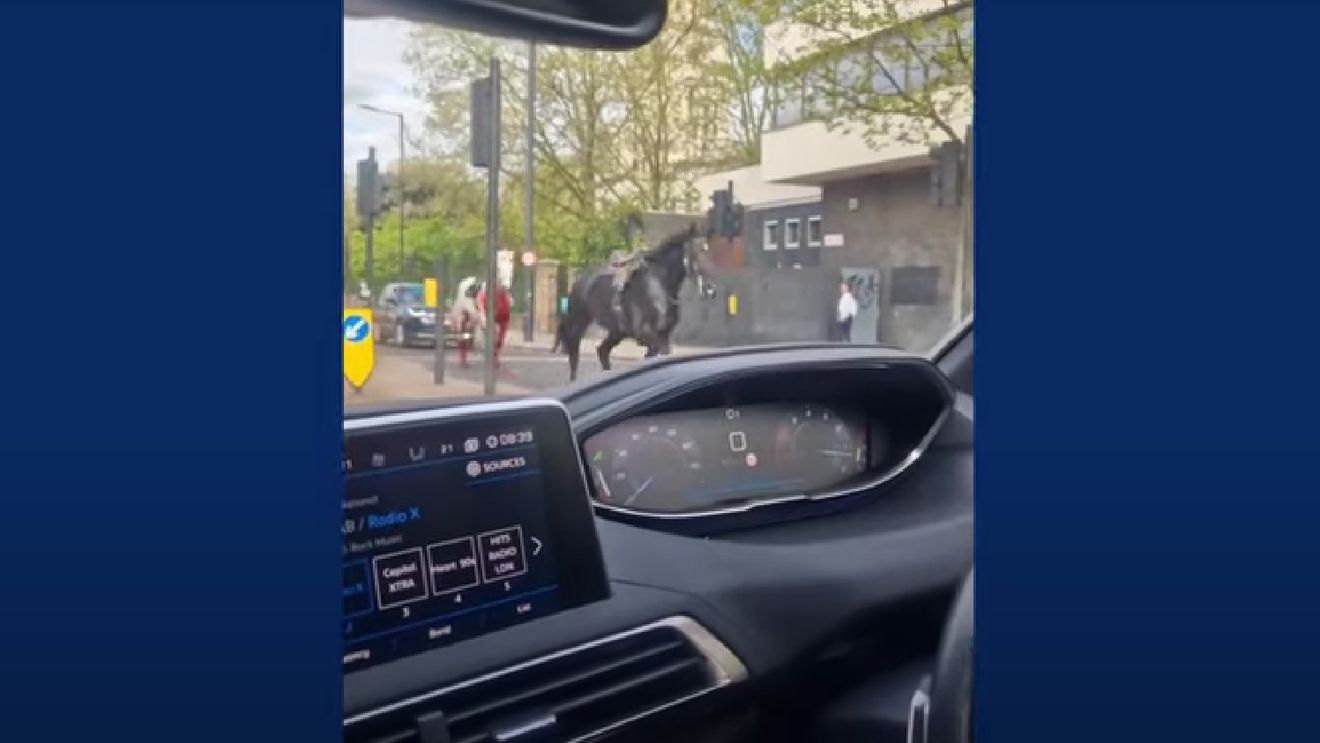 VIDEO Cai ai armatei britanice au scăpat în timpul unui exercițiu și au fugit liberi prin centrul Londrei