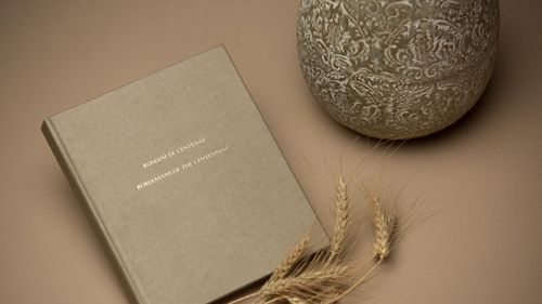 Firma Florianei Jucan, abonată la contracte cu statul prin negociere directă. A reușit performanța să vândă ministerului Culturii albumul Români de Centenar după anul Centenar