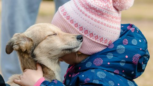 Târg de adopții de câini, în weekend, în parcul Herăstrău din Capitală
