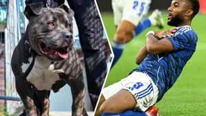 Concediat din cauza câinelui și riscă închisoarea: Un fotbalist din Bundesliga a fost dat afară de club după ce și-ar fi abandonat animalul de companie