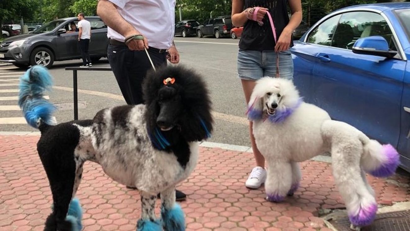 Pauza de relaxare. Instantaneul zilei din București