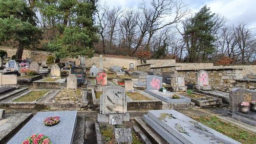 Zeci de morminte din cimitirul din Fontainebleau, de lângă Paris, au fost vandalizate cu simboluri naziste
