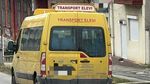 Topul județelor cu cele mai mici prețuri pentru microbuzele electrice școlare / Sibiu și Harghita au plătit cei mai puțini bani / În Gorj și Vâlcea s-au dat cei mai mulți / Diferență de peste trei ori între cel mai mic și cel mai mare preț