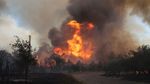 Franța evacuează 20.000 de persoane din cauza incendiilor de vegetație ce se extind în sud-vestul țării