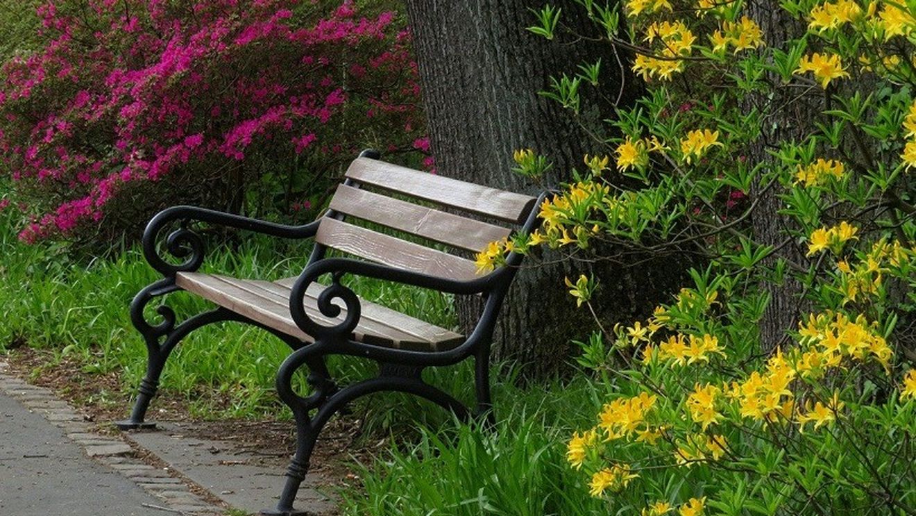 Locuitorii din Cisnădie nu mai au voie să se aşeze pe băncile din oraş/ Băncile din Gheorgheni, ridicate de Primărie, pentru a îi determina pe oameni să rămână în casă