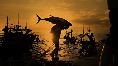 Un ton, vândut cu 129.000 de euro la o licitație din Tokyo / Cererea e afectată de pandemie, sumele plătite fiind din ce în ce mai mici