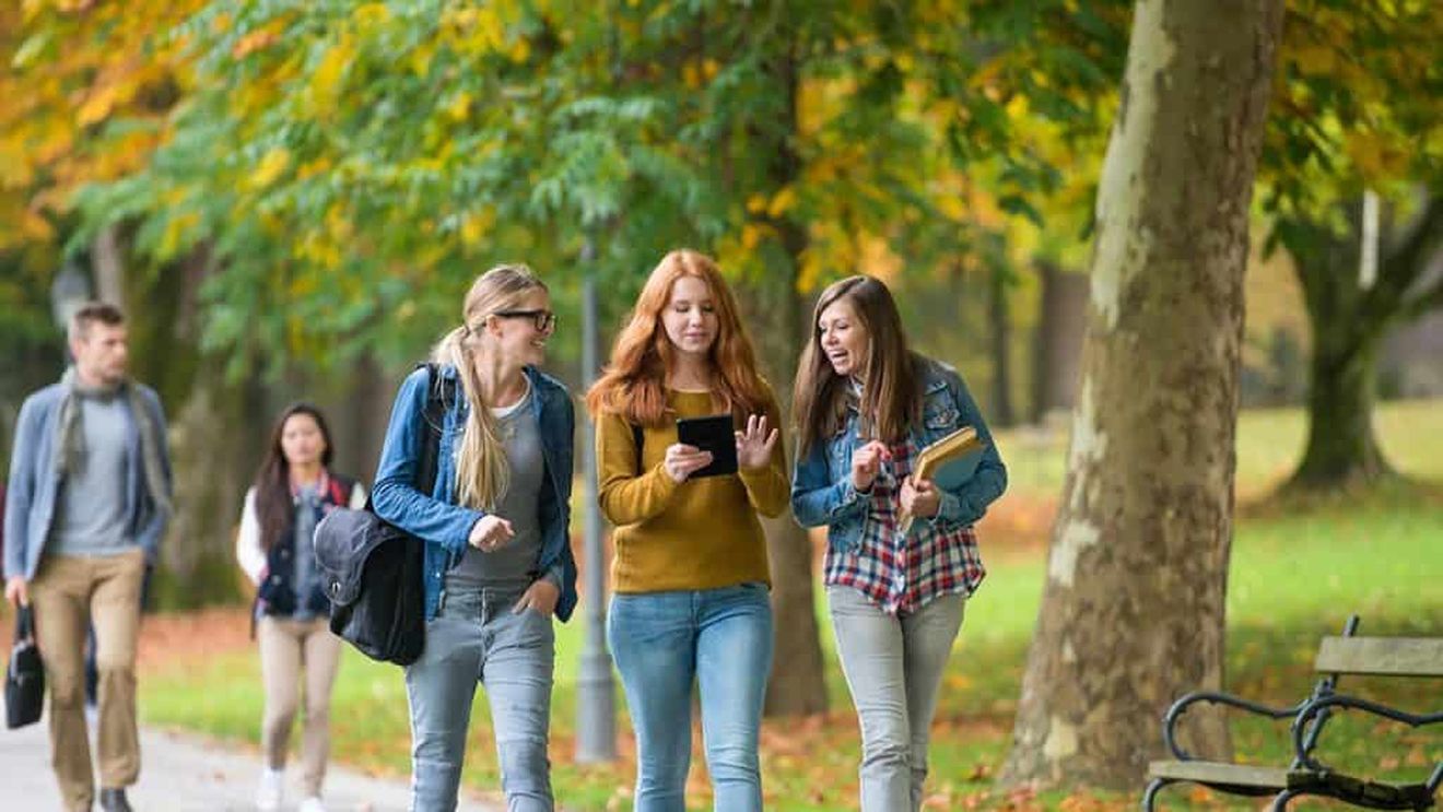 GRAFIC Domeniile cu cele mai multe locuri de muncă, până în 2030: România va avea nevoie de peste 150 de mii de profesori