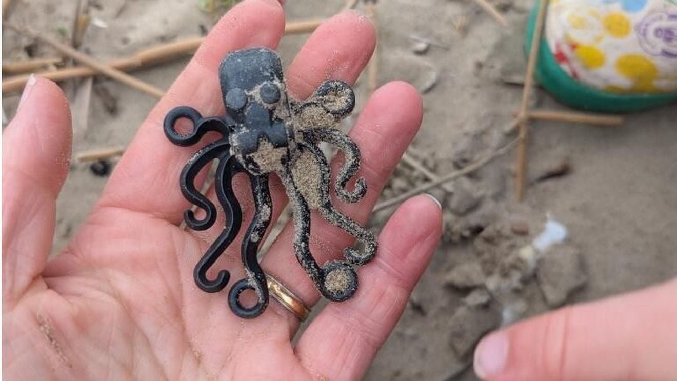 Căutarea de piese lego pierdute în mare: A început ca un hobby, a ajuns o misiune și o inițiativă de conștientizare privind poluarea cu plastic
