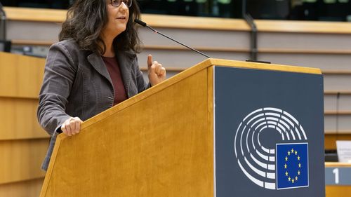 Un eurodeputat francez susține că serviciile secrete maghiare scurg informații către Rusia: ”Uniunea Europeană trebuie să învețe să se apere împotriva atacurilor din interior”