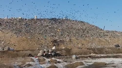 Craiova, sufocată de mirosul de la groapa de gunoi. Izul ajunge până în centrul orașului