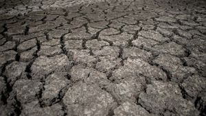 Căldură, secetă, incendii: 2022, un an al dezastrelor climatice în Europa / Temperaturile cresc de două ori mai repede pe continentul european față de media mondială
