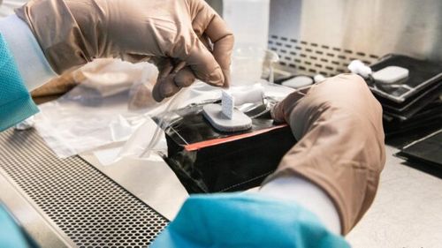 Astronauții duc agricultura în spațiu: „pernele de semințe” deschid un nou capitol al misiunilor ISS