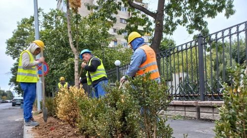 Consilierul prezidențial pe economie arată eșecul programului guvernamental de investiții - au fost realizate doar 65% din investițiile cu bani naționali și 62% din cele cu fonduri UE