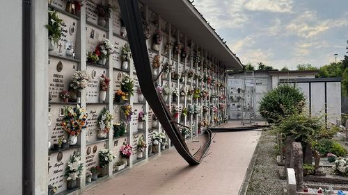 Cimitir din Italia, devastat / O bandă de români e suspectată de faptă / Hoții au abandonat obiecte de cupru în greutate de 500 de kilograme: sfinți, madone, amfore și cruci / Poliția a găsit camioneta folosită de hoți