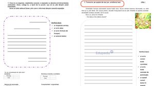 Creativitatea și comunicarea au fost eliminate de Ministerul Educației din cerințele de la Evaluarea Națională de clasa a II-a. Analiza subiectelor de la testarea la „Limbă și comunicare – scris” 2026