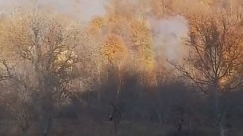 VIDEO Incendiu într-o pădure în Vrancea / Primarul face apel la locuitori să vină în ajutorul pompierilor
