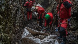 FOTO Zeci de saci cu gunoaie adunate de alpiniști, salvamontiști și voluntari pe coardă din zona turistică Padiș din Munții Apuseni