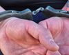 Bărbatul din Hunedoara care a tras cu arma în fosta sa familie a fost reţinut de poliţişti / E acuzat de tentativă de omor