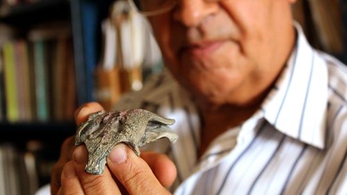 Descoperire în Chile: Fosile cu o vechime de 150 de milioane de ani, ale unui bunic al crocodilului de astăzi