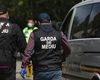 Sesizări absurde la Garda de Mediu Arad: Mirosul de tocăniţă din vecini, cântatul cocoşului, un vecin nu salută