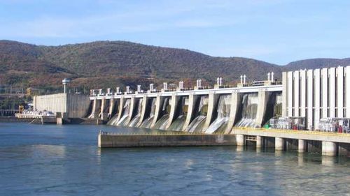 Sute de pești morți, în lacul de acumulare al barajului de la Porţile de Fier 1 / Autoritățile investighează cauza