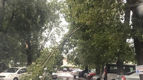 Vijelie puternică și averse în localități din județele Brașov, Covasna, Botoșani, Suceava și Iași