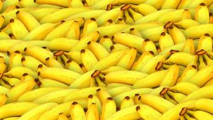 Exporturile de banane din Columbia au scăzut anul trecut pe fondul vremii ploioase și al războiului din Ucraina / Columbia este al cincilea exportator de banane din lume, după Ecuador, Guatemala, Costa Rica și Filipine  