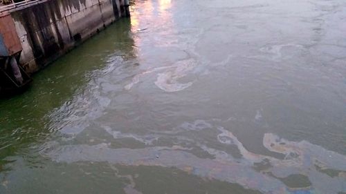 FOTO Poluare cu petrol pe Dunăre, la ecluza Hidrocentralei Porțile de Fier I