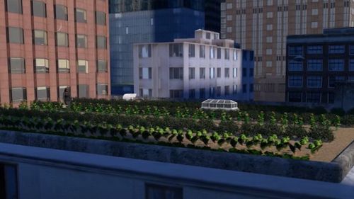 ANIMAȚIE GRAFICĂ | Cum arată agricultura urbană / Cum ar fi să cultivi legume, fructe și plante aromatice în mijlocul orașului?