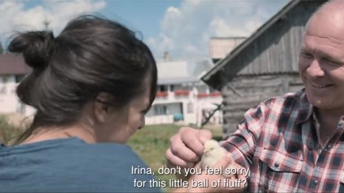 VIDEO Filmul Crai nou de Alina Grigore a câştigat un trofeu la Festivalul Internaţional de la San Sebastian. Pelicula prezintă povestea unei tinere de la țară care vrea să studieze la oraș