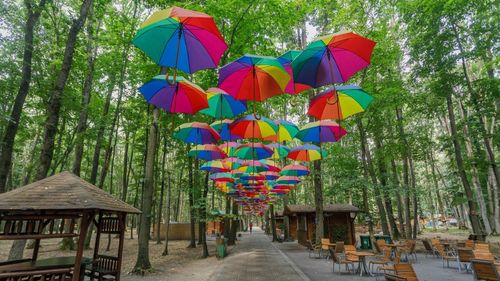 Destinații pentru familii cu copii, bune de trecut în revistă pentru mini-vacanța de Paște: De la dinozauri și zimbri la căsuțe "de zâne" și plimbări cu catamaranul